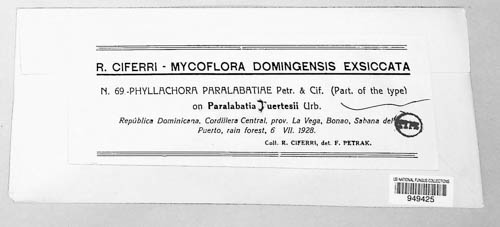 Phyllachora paralabatiae image